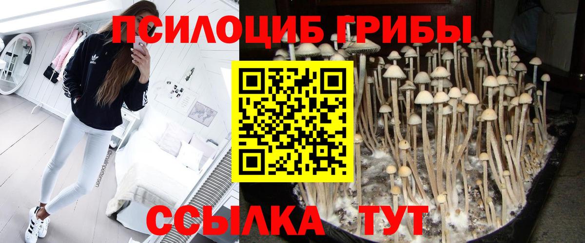 Галлюциногенные грибы GOLDEN TEACHER Тутаев