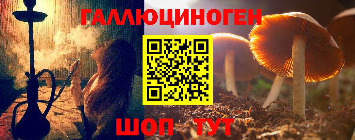 Галлюциногенные грибы мицелий  где продают наркотики  Тутаев  Вход с VPN 